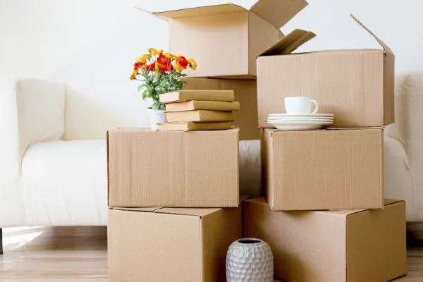 Packhjälp (1)